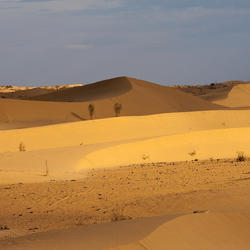 Karakum Desert