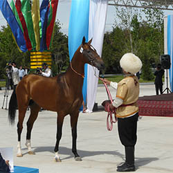 Ashgabat - National Hippodrome on National Racehorse Day